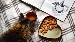 Katze  vor einem Kaffeebecher, einer Dose mit Nüssen und einem Kochbuch (Foto: Pixabay/Mimzy)
