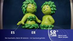 SR-Dachmarkenkampagne 2017„ES & ER“  (Foto: SR)