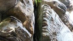 Felsschlucht im Müllerthal in der Luxemburger Schweiz. (Foto: Maria C. Schmitt)