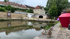 Burgund per Hausboot, da will ich hin! (Foto: SR)
