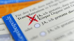 Die Rückseite eines ausgefüllten Organspendeausweises (Foto: picture alliance/dpa | Marie Reichenbach)
