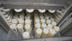 Tief gekühlte Muttermilch lagert in einer Frauenmilchbank in einem Kühlschrank. (Foto: Frank Rumpenhorst/dpa)