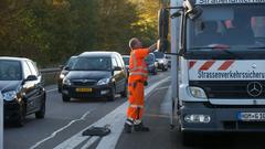 Barke wird auf einen LKW verladen (Foto: Pasquale D'Angiolillo)