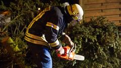 Feuerwehrmann zersägt Baum. (Foto: Pasquale D'Angiolillo)