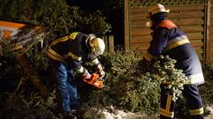 Feuerwehr zersägt Baum. (Foto: Pasquale D'Angiolillo)