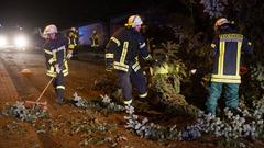 Feuerwehr zersägt Baum. (Foto: Pasquale D'Angiolillo)