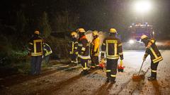 Feuerwehr zersägt Baum. (Foto: Pasquale D'Angiolillo)