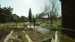 Garten voller Pfützen (Foto: SR)