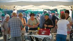 Treffpunkt Ü-Wagen 2018 - Zu Gast in Merchingen (Foto: SR/Pasquale D'Angiolillo)