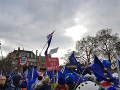 Brexit-Kundgebung in London (Foto: Marten Hahn)