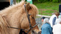 Der Treffpunkt Ü-Wagen in Hoof (Foto: Pasquale D'Angiolillo)