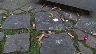 Zigarettenkippen auf der Straße (Foto: SR)