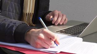 Homeschooling (Foto: SR)