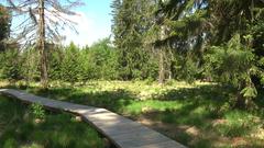 Nationalpark Hunsrück-Hochwald  (Foto: SR)