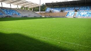 Rasenfläche des Ludwigspark-Stadions (Foto: SR)
