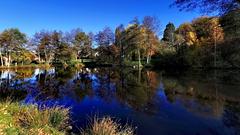 Morgenspaziergang durch den Brühlpark in Theley (Foto: Cornelia Ames)