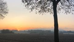 Morgenstimmung aus Limbach (Foto: Melina Adams)