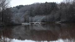 Klosterweiher in Namborn im Schnee (Foto: Sonja Daniels)