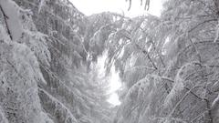 Winterspaziergang durch Nonnweiler (Foto: Paul-Heinz Lang)
