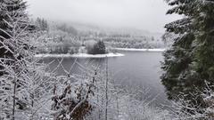 Talsperre Nonnweiler im Winter (Foto: Paul-Heinz Lang)