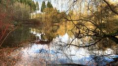 Simschelweiher bei Völklingen (Foto: Erwin Altmeier)