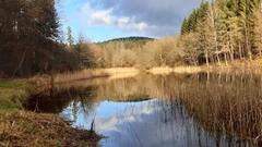 Sägeweiher in Hassel (Foto: Jürgen Bastian)