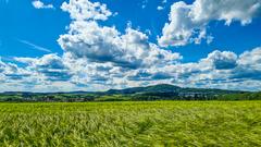 Der Schaumberg im Frühlingsgewand (Foto: Anton Didas)