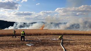 Flächenbrand am 18.07.2023 bei Niederkirchen im Kreis Kaiserslautern. (Foto: Freiwillige Feuerwehr Verbandsgemeinde Otterbach-Otterberg)