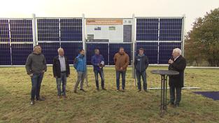 Rinder-Haltung zwischen Photovoltaik-Panelen (Foto: SR)