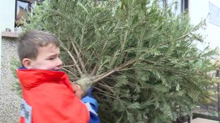 Junger Feuerwehrmann entsorgt Weihnachtsbaum (Foto: SR)