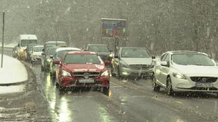 Einige Autos, die auf einer zugeschneiten Straße im Stau stehen. (Foto: SR)