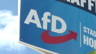 AfD Wahlplakat (Foto: SR)