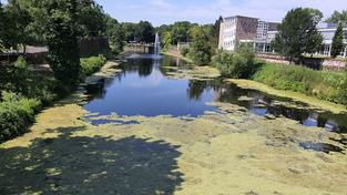 Der Saar-Altarm im Saarlouis mit der Wasserfontaine. (Foto: Beatrix Heitz/SR)