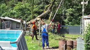 Aufräumarbeiten nach Baumeinsturz in Saarwellingen (Foto: SR)