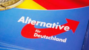 Das Logo der AfD auf einem Flyer (Foto: picture alliance/dpa | Christophe Gateau)