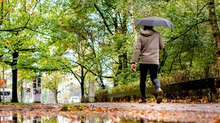 Ein Spaziergänger mit einem Regenschirm spiegelt sich in einer großen Pfütze (Foto: picture alliance/dpa | Hauke-Christian Dittrich)