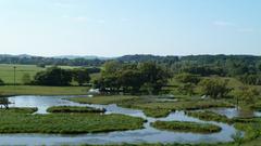 Naturschutzgebiet Bliesauen bei Homburg Beeden (Foto: Maria C. Schmitt)