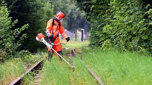 Eine inaktive Bahntrasse wird freigeschnitten (Foto: picture alliance/dpa | Hermann Pentermann)