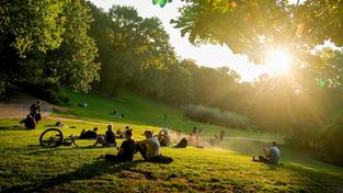 Menschen liegen im Sonnenschein auf einer Herbstwiese (Foto: picture alliance/dpa | Kay Nietfeld)