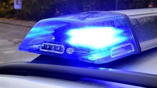 Streifenwagen der Polizei mit Blaulicht im Einsatz  (Foto: picture alliance/dpa | Daniel Bockwoldt)