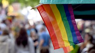 Regenbogenflaggen sind an einem Marktstand angebracht. (Foto: picture alliance/dpa | Federico Gambarini)