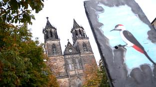 Ansicht des Doms in Magdeburg (Foto: SR)