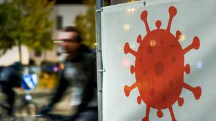 Ein großes Virus-Symbol auf einem Banner (Foto: picture alliance/dpa | Bernd Wüstneck)