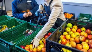Ehrenamtliche Hefer bei den Tafeln (Foto: picture alliance/dpa | Jens Büttner)