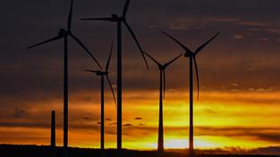Windräder stehen im Sonnenuntergang (Foto: picture alliance/dpa | Patrick Pleul)