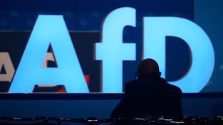 Eine Person sitzt alleine zwischen leeren Stühlen vor einem großen AfD-Logo (Foto: picture alliance/dpa | Klaus-Dietmar Gabbert)
