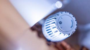 Ein Thermostat an einer Heizung in einer Wohnung.  (Foto: picture alliance/dpa | Thomas Banneyer)