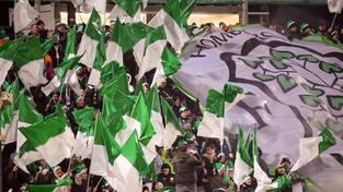 Fans des FC Homburg im Waldstadion (Foto: picture alliance/dpa | Thomas Frey)