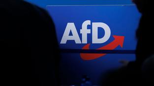 Personen vor dem Parteilogo der AfD (Foto: picture alliance/dpa | Carsten Koall)