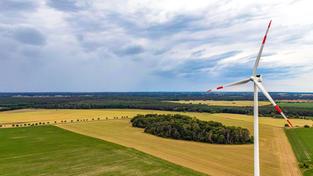 Eine Windkraftanlage steht zwischen Landwirtschaftlich genutzten Flächen (Foto: picture alliance/dpa | Patrick Pleul)